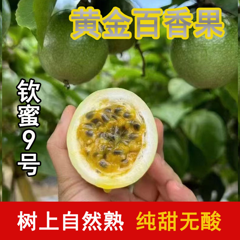 黄金百香果